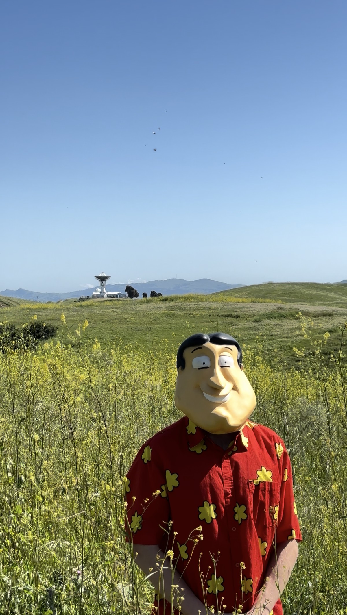 Crungo in a field with inflatable balloon characters