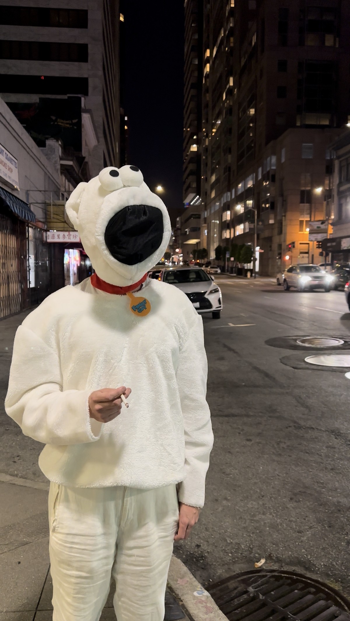 Crungo in a dog costume on the street